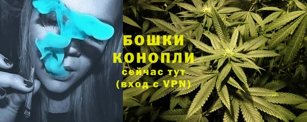 кокс Арсеньев